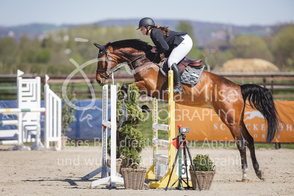 220416_3_A-Springen2-426 | Frühlingsfest der Pferde
Herford
16.April 2022
03/2 Sprigprüfung mit steigenden Anforderungen Kl. A** geschlossen 44-481 RLP