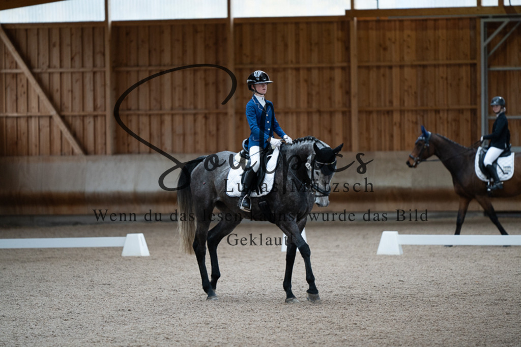 A7V02382 | Pferdefotograf