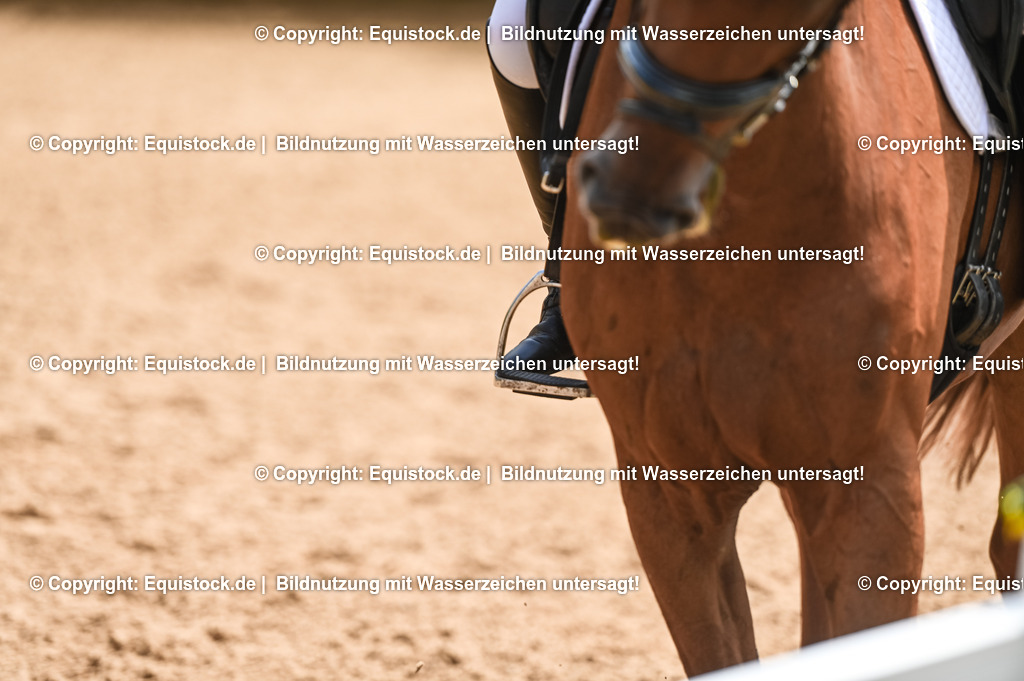 20230716_03_Dressurprfg. Kl.L - Tr._0325 | equistock