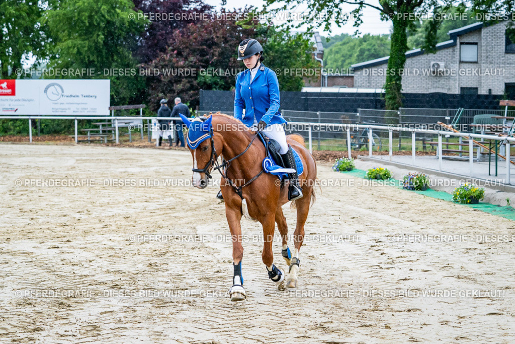 DSC01531 | Pferdegrafie