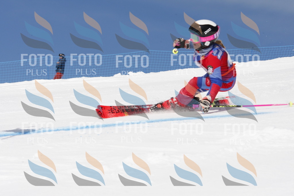 _W1G1237 | holidayphoto