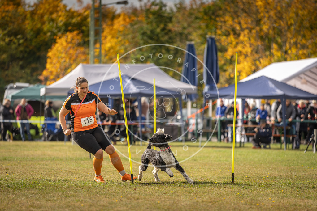 Pfotenfotografie_DV3A7028 | Hundefotografie, Tierfotograf, Pfotenfotografie, Fotoshooting Hund, Hunde Portrait, Hundesport, Hundeportraits, Heideshooting, Hunde, Sportfotograf, Hundefotograf, Turnierhundsport, THS,  - Realisiert mit Pictrs.com