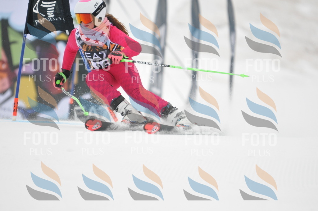 DSC_8019 | holidayphoto