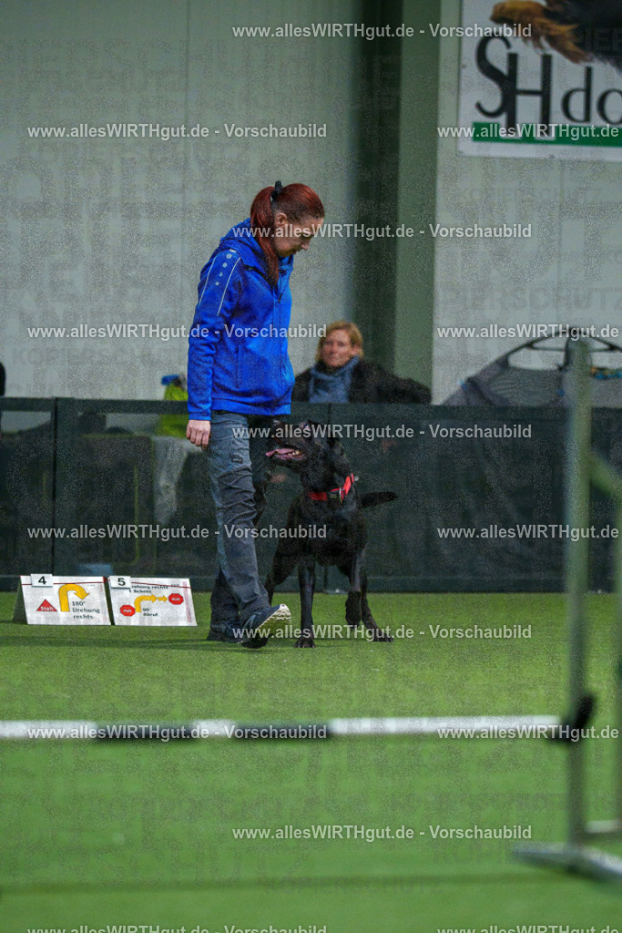 7R504127 | Professionelle Tierfotografie in Mönchengladbach von Daniel Wirth (allesWIRTHgut). Liebevolle & natürliche Bilder von Hunden & Katzen für unvergessliche Erinnerungen.