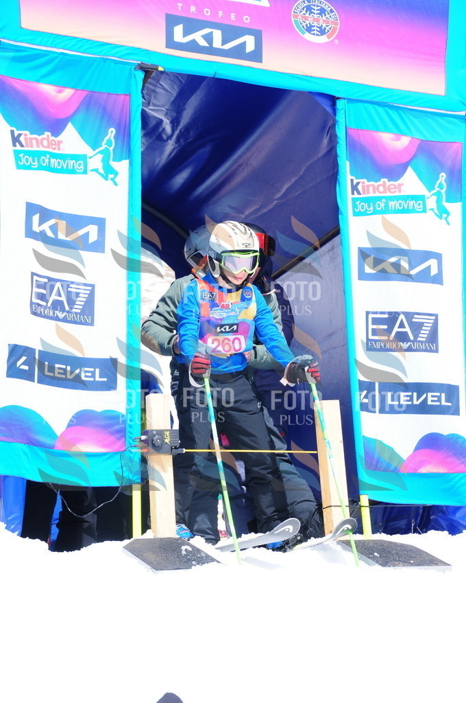 DSC_6319 | holidayphoto