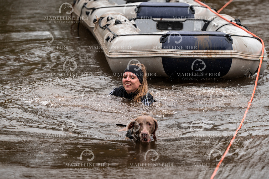 madeleinebirr-fotografie2025.campcanis.11-12Uhr-362 | hundefotografie-birr