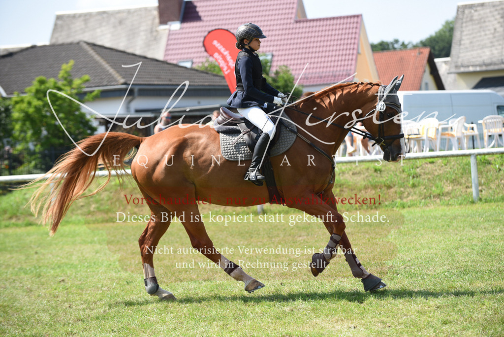 DSC_0081 | Pferde- und Turnierfotografie in Westsachsen. Pferdeportraits, Auftragszeichnungen und intuitive Kunst.