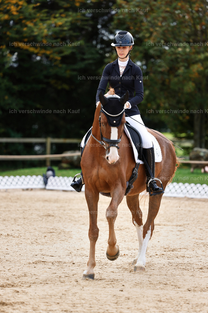 02-037-DRESSUR L_  -StoibPH-4683 | working equitationturnier fotograf videograf stoibphotography marixx film working equitation deutschland reitsport turnierfotografie eventfotografie equestrian events