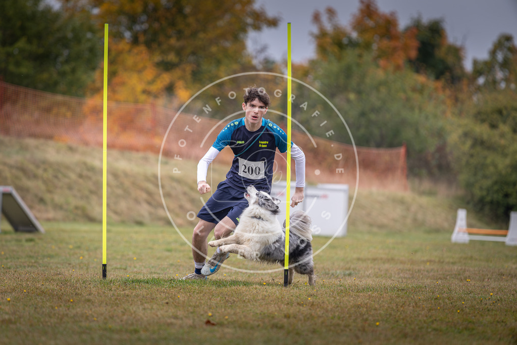 Pfotenfotografie_DV3A1234 | Hundefotografie, Tierfotograf, Pfotenfotografie, Fotoshooting Hund, Hunde Portrait, Hundesport, Hundeportraits, Heideshooting, Hunde, Sportfotograf, Hundefotograf, Turnierhundsport, THS,  - Realisiert mit Pictrs.com