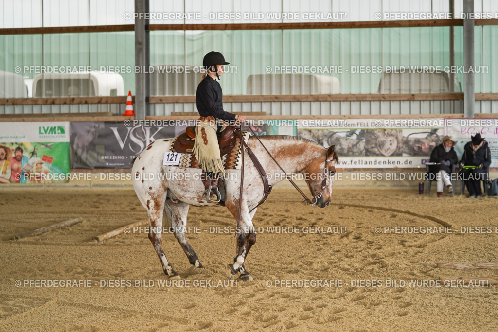 DSC06396 | Pferdegrafie