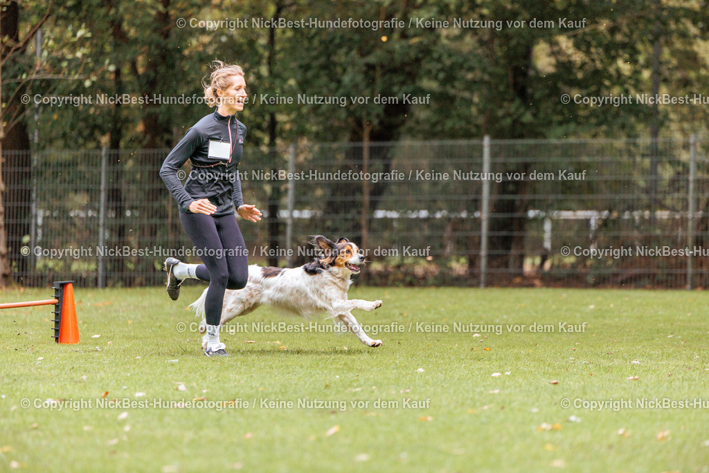 THS-HSV-Blumenthal-2026-Nickbest-Hundefotografie-4559 | Dein Hund! Dein Moment! Deine Erinnerungen! Hundefotografie in Bremen Blumenthal. Ich fange die besonderen Momente deines Vierbeiners ein – ob Indoor mit Blitzanlage oder in der freien Natur. Sicher dir dein Moment und dein Termin für eure Erinnerungen.