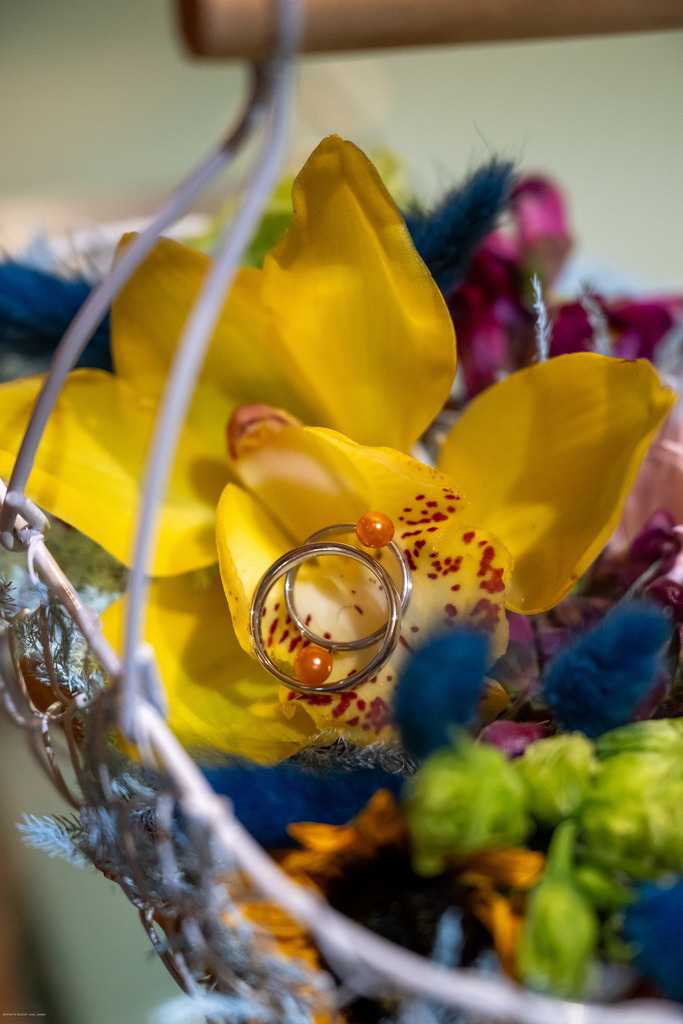 WWB_5732 | <Fotografie> <Video> <Film> <Winfried Bischoff> - Realisiert mit Pictrs.com