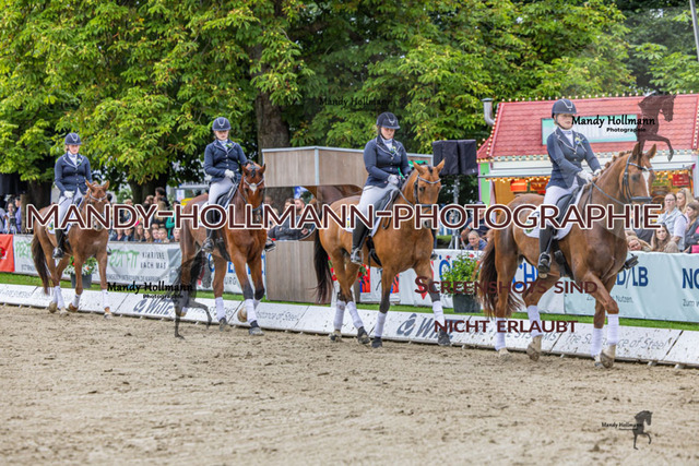 25.7.25 D1 59 (94 von 1569) | mandyhollmannphotographie