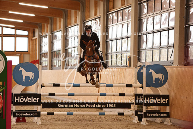 1J2A8794Martin Wißenbach_ Carlotta Blue_ Kn073_ Glantz_ Hohen Wieschendorf | Foto- und Videografie für alles rund ums Pferd. Hochwertige Bilder und Videos vom Spring- und Dressurreiten, Voltigieren & mehr. Jetzt aktuelle Veranstaltungen und Preise im Shop ansehen. - Realisiert mit Pictrs.com