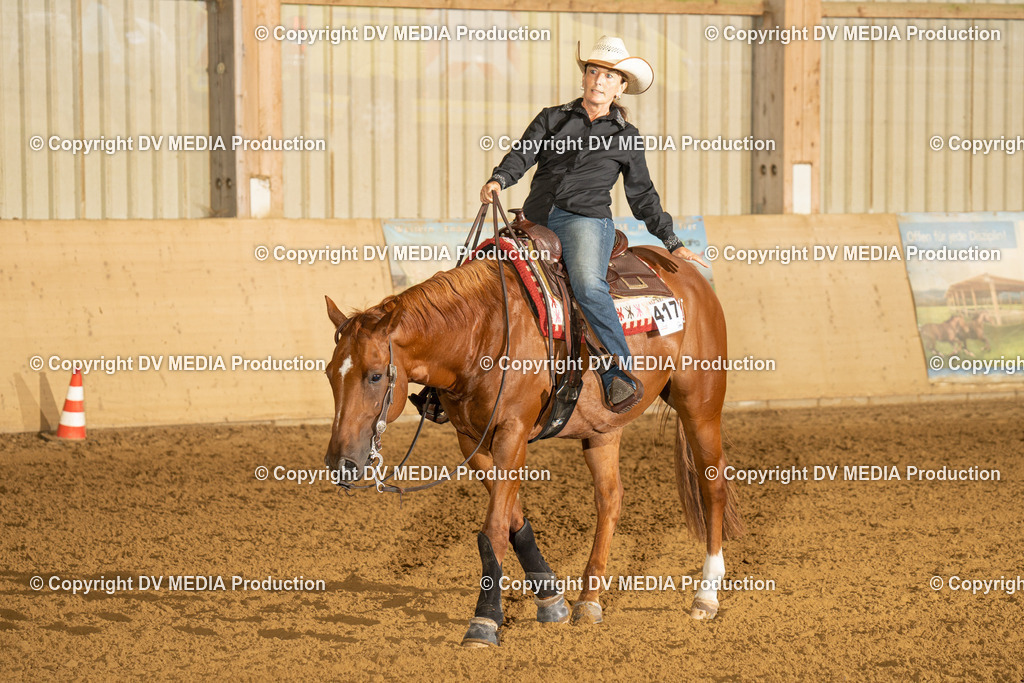 LAU00358 | dv-media-shop - Realisiert mit Pictrs.com