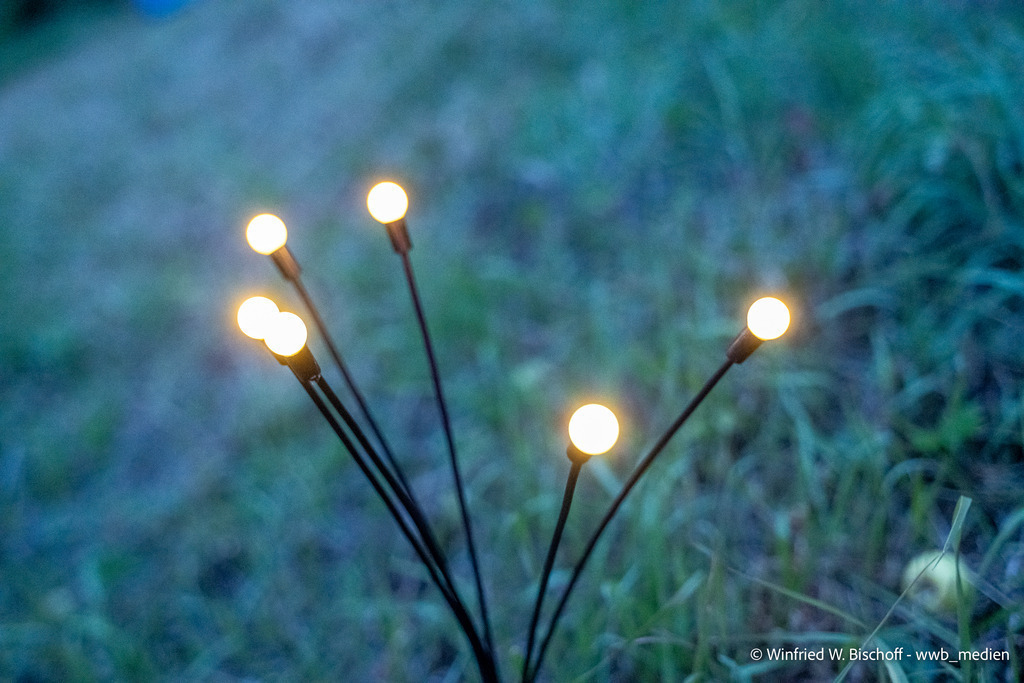 _DSC1712 | <Fotografie> <Video> <Film> <Winfried Bischoff> - Realisiert mit Pictrs.com