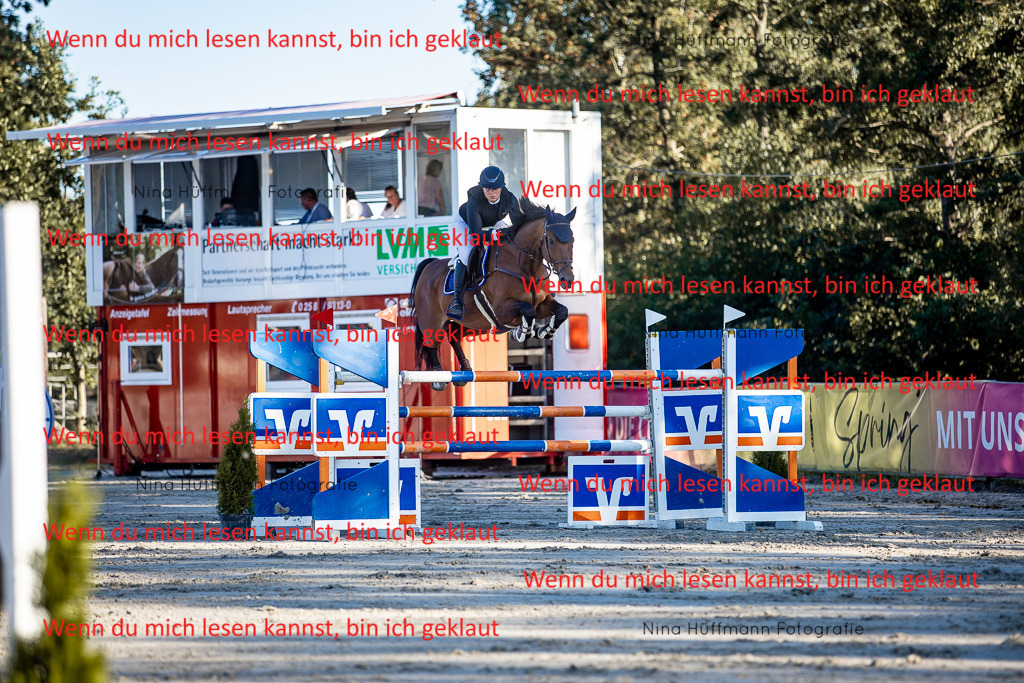 BK1A8437 | Turnierbilder Turnierfotos Nina Hüffmann Turnierfotografie Pferdefotografie Tierzeichnung Haustierzeichnung Pferdezeichnung Hundezeichnung Videograf  - Realisiert mit Pictrs.com