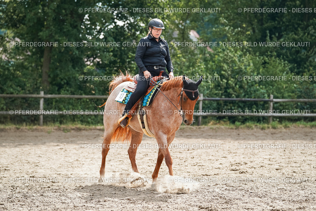 DSC04360 | Pferdegrafie