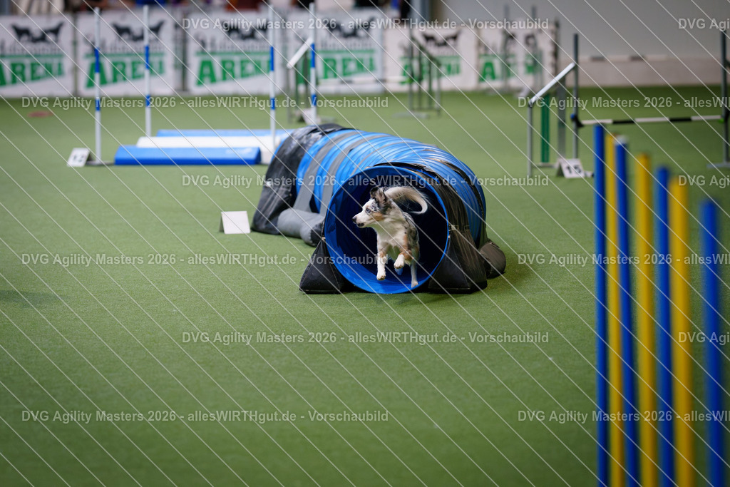 allesWIRTHgut_Tierfotografie-DVG_Agility_Masters_2026-09_10-7R508881 | Professionelle Tierfotografie in Mönchengladbach von Daniel Wirth (allesWIRTHgut). Liebevolle & natürliche Bilder von Hunden & Katzen für unvergessliche Erinnerungen.