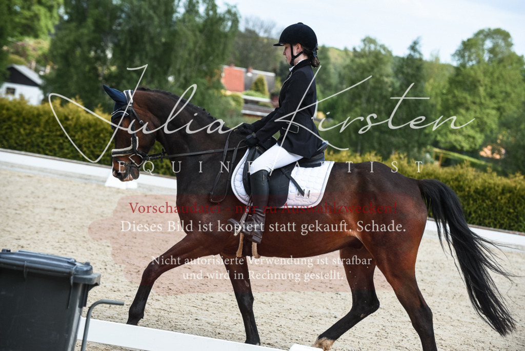 20230518_JK-Röhrsdorf-12-0046 | Pferde- und Turnierfotografie in Westsachsen. Pferdeportraits, Auftragszeichnungen und intuitive Kunst.