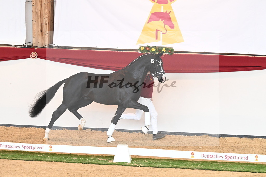 Kat.-Nr. 70 v. Totilas_Fischer_2241038 | hf-fotografie - Realisiert mit Pictrs.com