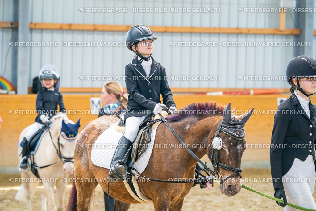 DSC00483 | Pferdegrafie