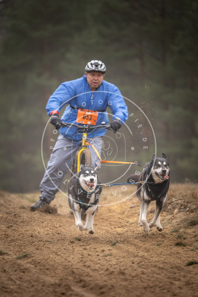 Pfotenfotografie_DV3A1261 | Hundefotografie, Tierfotograf, Pfotenfotografie, Fotoshooting Hund, Hunde Portrait, Hundesport, Hundeportraits, Heideshooting, Hunde, Sportfotograf, Hundefotograf, Turnierhundsport, THS,  - Realisiert mit Pictrs.com