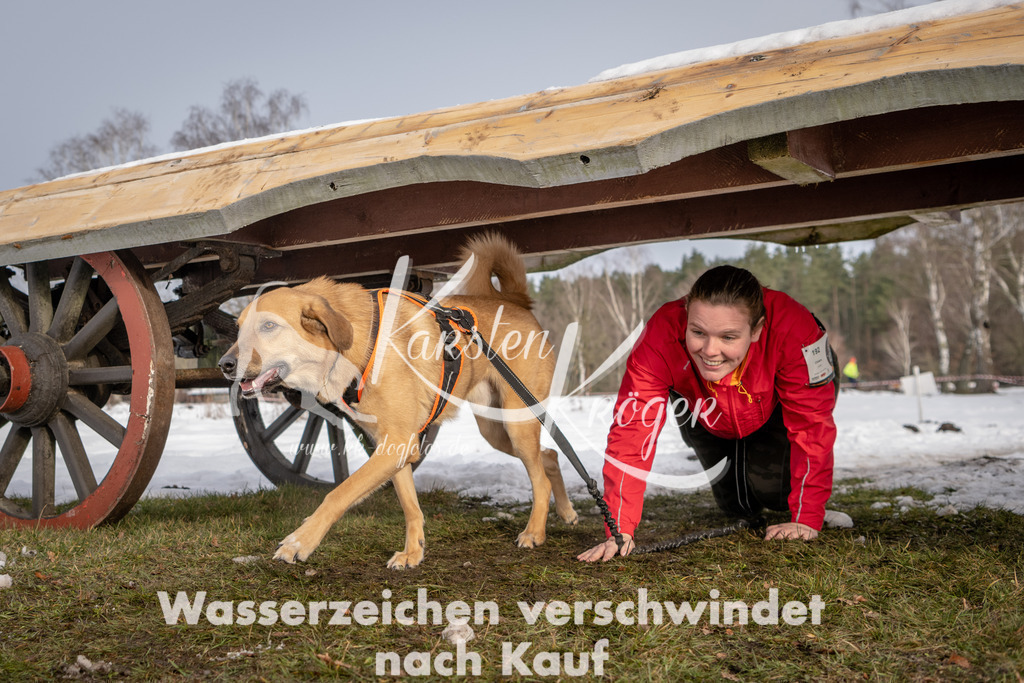 0859_ZZ93467-3 | kk-dogfotos