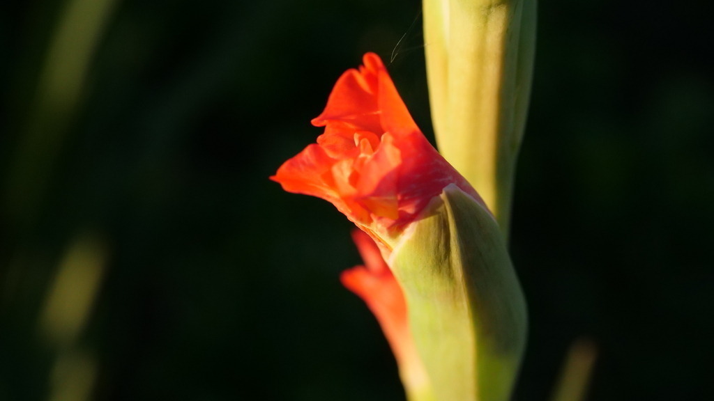 P1055035 | klausulrichmoeller