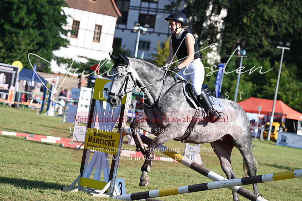 DSC_4870 | Pferde- und Turnierfotografie in Westsachsen. Pferdeportraits, Auftragszeichnungen und intuitive Kunst.
