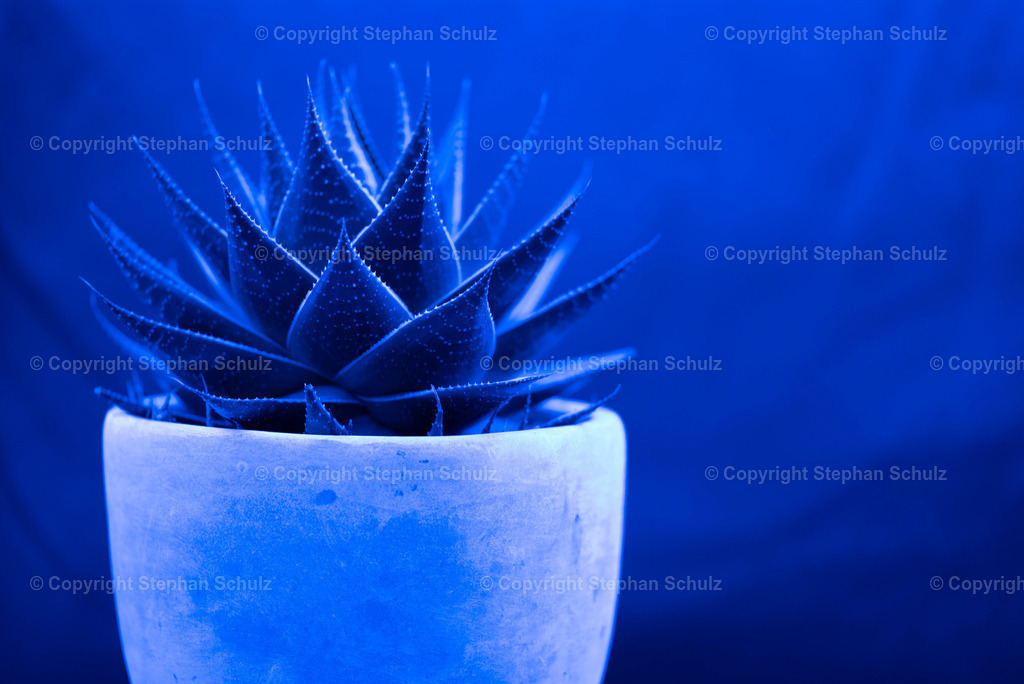 EU3 | Stephan Schulz ist Journalist und Buchautor. Seine Leidenschaft gilt zudem der Fotografie. Hier geht es zu seinem Shop.  - Realisiert mit Pictrs.com