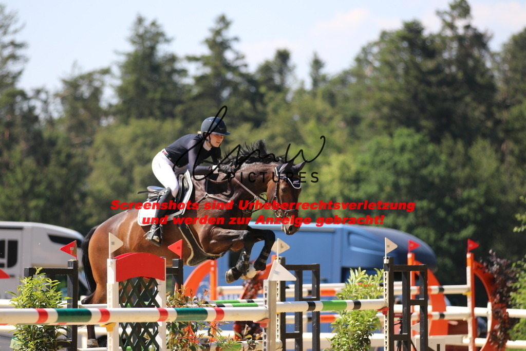 IMG_2762 | lmwpictures - Realisiert mit Pictrs.com