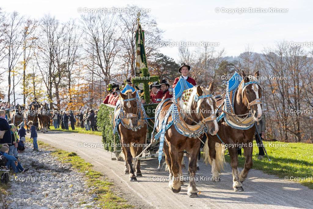 LBT24-1250 | foto-bettina-krinner - Realisiert mit Pictrs.com