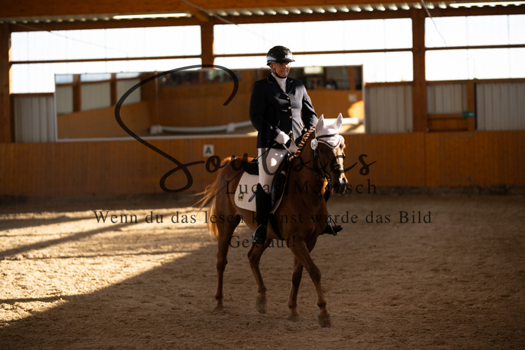 A7V01730 | Turnier/Reitfotograf