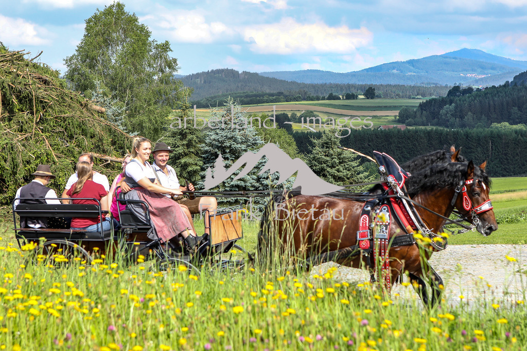 OE7A9628 | Medien- Sport- Entertainmentfotos