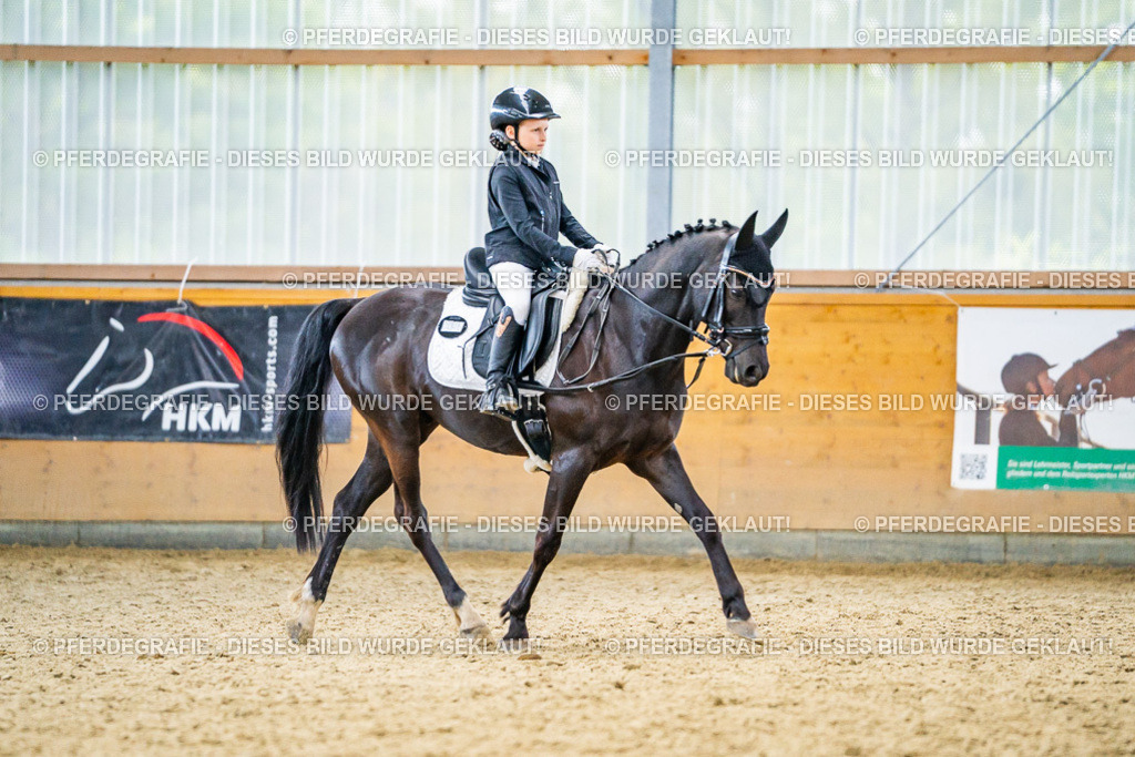 DSC04684 | Pferdegrafie