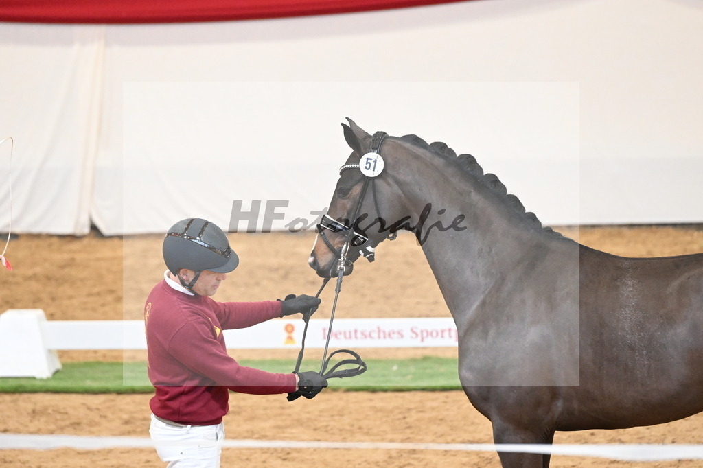 Kat.-Nr. 51 v. Donkey Boy_Lenzen_2250206 | hf-fotografie - Realisiert mit Pictrs.com