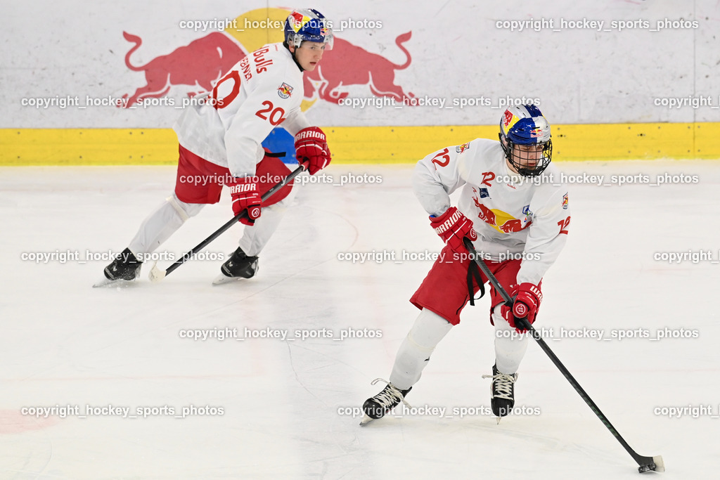RED BULL HOCKEY JUNIORS vs. EK DIE ZELLER EISBÄREN | #12 Kolarik Leon RED BULL HOCKEY JUNIORS, #20 Kirchebner Maximilian RED BULL HOCKEY JUNIORS, RED BULL HOCKEY JUNIORS vs. EK DIE ZELLER EISBÄREN, RED BULL HOCKEY JUNIORS vs. EK DIE ZELLER EISBÄREN am 14.01.2025 in Salzburg (Eisarena Salzburg), Austria, (Photo by Bernd Stefan)