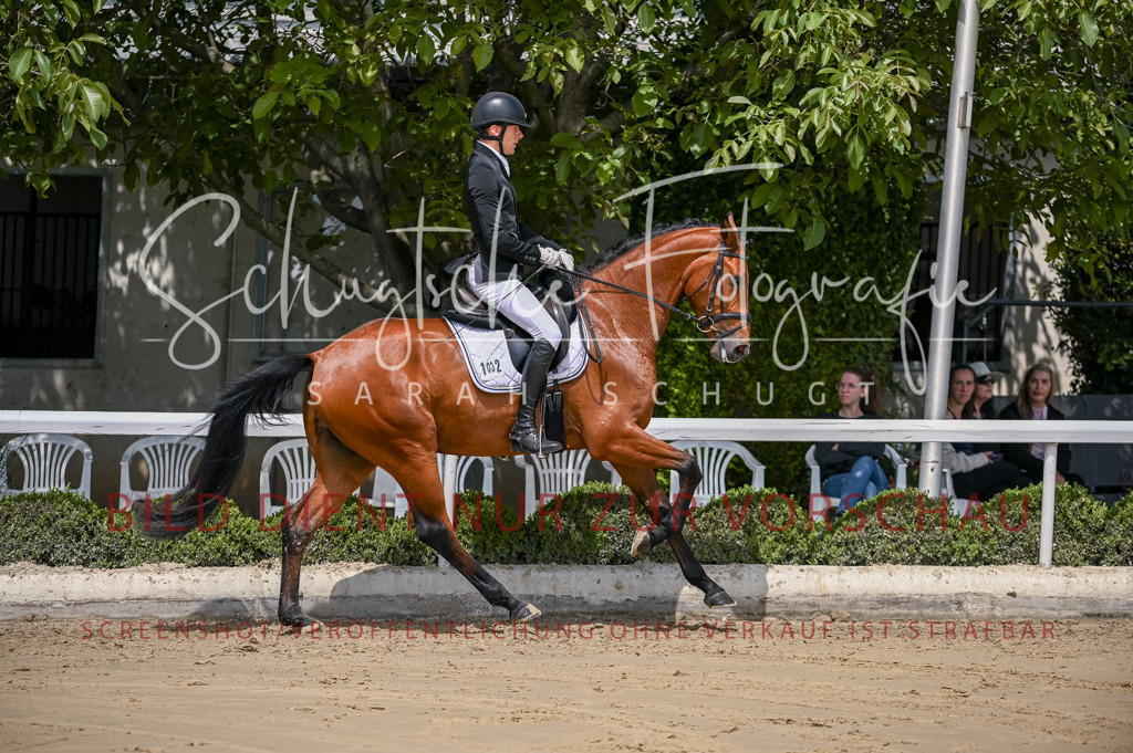 Schugtsche-Aluta25-48.Reitpferfdeprf.-234 | Schugtsche Fotografie - Realisiert mit Pictrs.com
