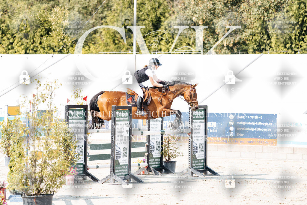 CK902404 | Turnierfotografie Pferdefotografie Trier Rheinland-Pfalz Pferdesport Reitsport Tierfotografie Sportfotografie Pferdevideo Pferdevideografie Equestrianvideography equestrianphotography  - Realisiert mit Pictrs.com