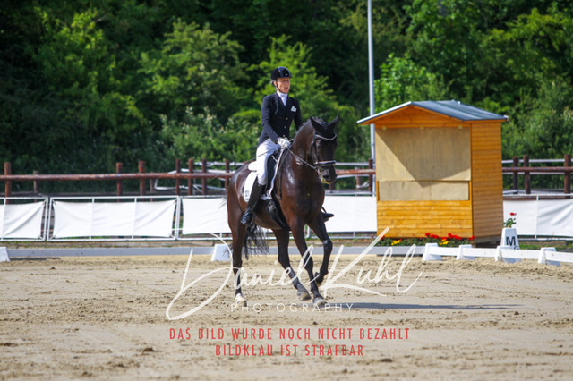 DKP46485 | Turniersportfotografie; Pferdefotografie; Dressurfotografie