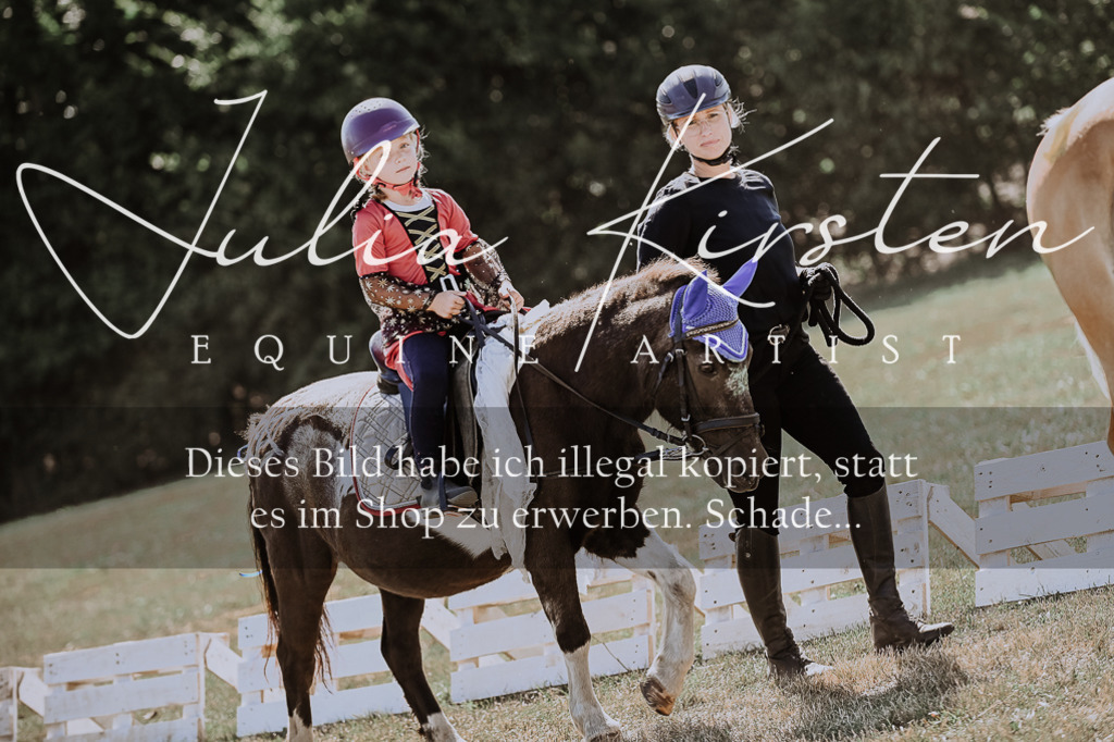 DSC_8820 | Pferde- und Turnierfotografie in Westsachsen. Pferdeportraits, Auftragszeichnungen und intuitive Kunst.