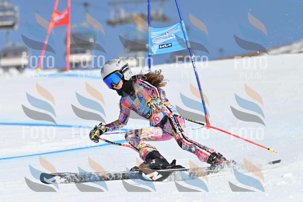 BGV_8273 | holidayphoto