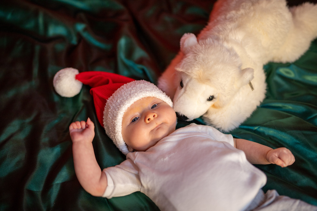 IMG_7462 | ehrlichefotos - Realisiert mit Pictrs.com