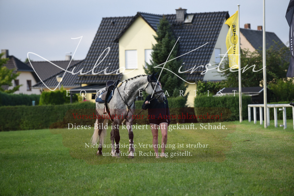 DSC_8556 | Pferde- und Turnierfotografie in Westsachsen. Pferdeportraits, Auftragszeichnungen und intuitive Kunst.