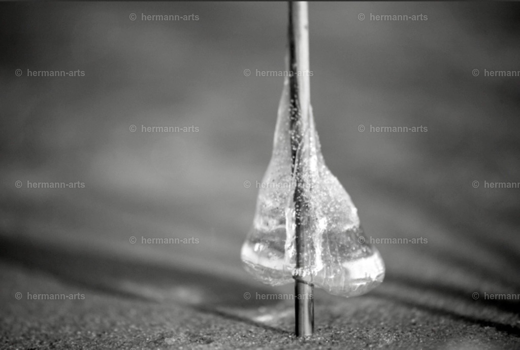 Hermann-Arts_social_media_001 | Screenshot