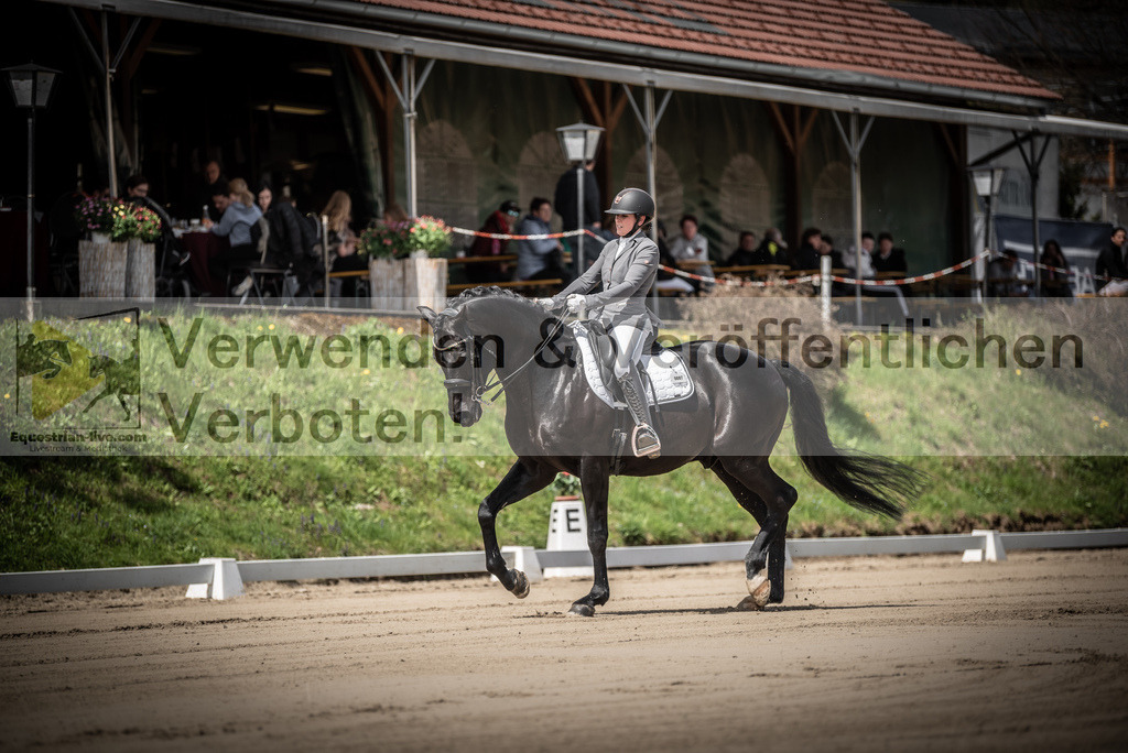 DSC_1365 | equestrian-live-com