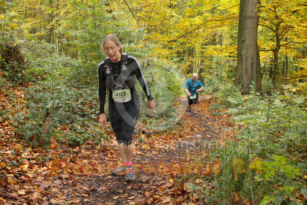 251026_1258_EV4_6255 | Sportfotografie im Rhein-Sieg Kreis, Köln, Bonn, NRW, Rheinland Pfalz, Hessen, etc. Unser Tätigkeitsfeld umfasst den Laufsport vom Volkslauf über den Marathon, Duathlon, Triathon bis zum Ultralauf wie Kölnpfad Ultra oder Schindertrail.