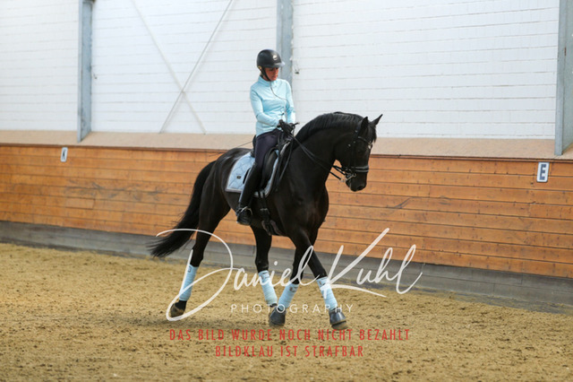 IMG_3258 | Turniersportfotografie; Pferdefotografie; Dressurfotografie