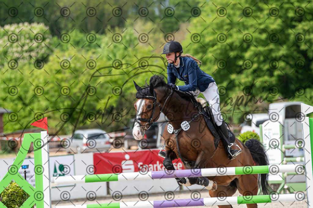 KPT_0211 | andre_photographic